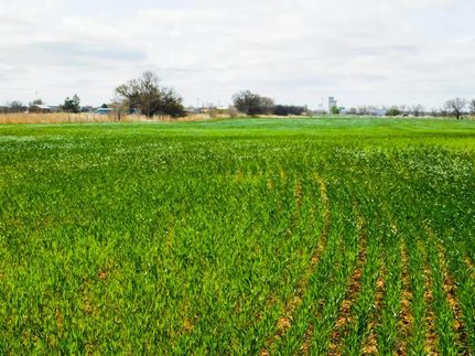 Undeveloped Land in Adair County, Oklahoma