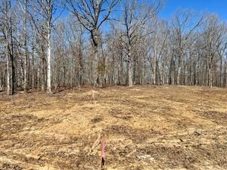 Land in Stewart County, Tennessee