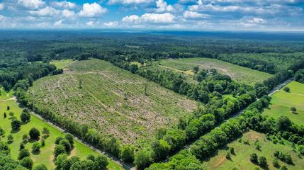 Farm and Ranch in Sumter County, South Carolina