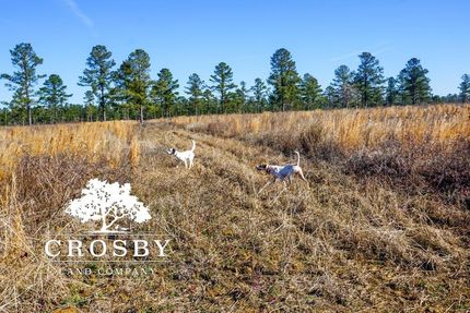 Horse Property in Berkeley County, South Carolina