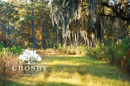 Land in Jasper County, South Carolina