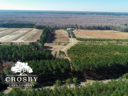 Timberland Property in Colleton County, South Carolina
