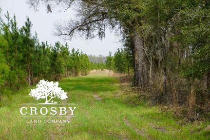 Land in Hampton County, South Carolina