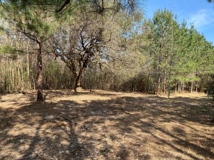 Recreational Property in Stone County, Mississippi