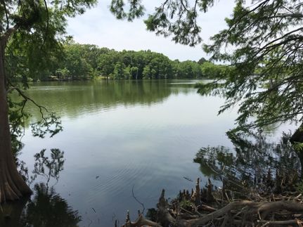 Land in Caldwell Parish, Louisiana
