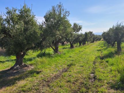 Land in Tehama County, California