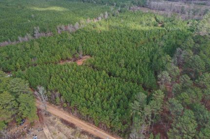 Undeveloped Land in Ouachita County, Arkansas