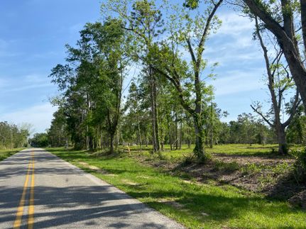 Undeveloped Land in Baldwin County, Alabama