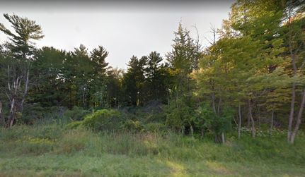 Undeveloped Land in Manistee County, Michigan