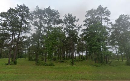 Undeveloped Land in San Jacinto County, Texas