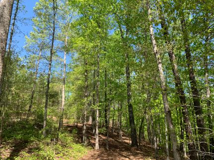 Land in Coweta County, Georgia