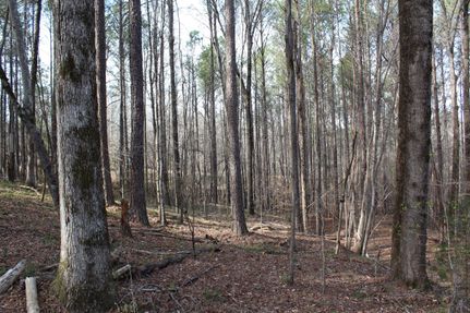 Undeveloped Land in Jefferson County, Alabama