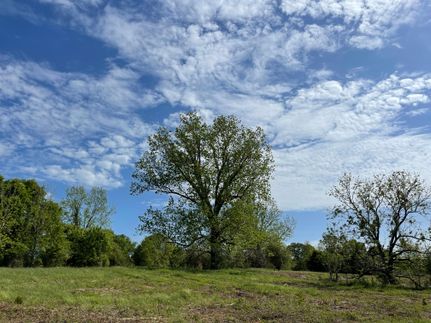 Hunting Property in Crenshaw County, Alabama