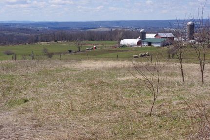 Undeveloped Land in Montgomery County, New York