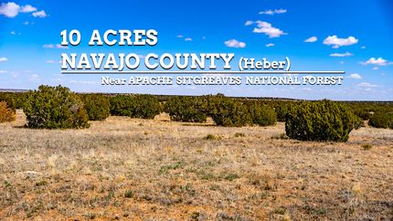 Farm and Ranch in Navajo County, Arizona