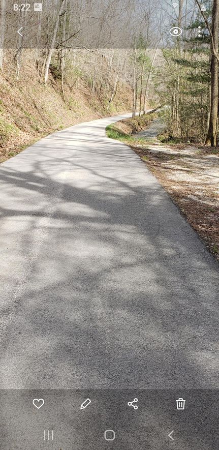 Timberland Property in Menifee County, Kentucky