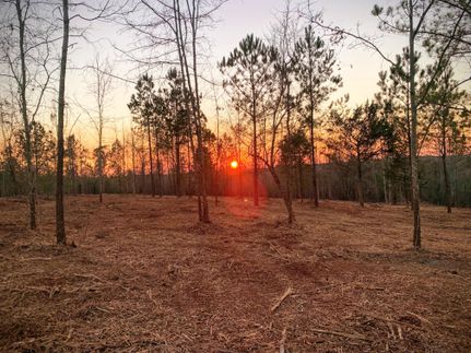 Recreational Property in Lee County, Alabama