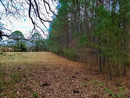 Recreational Property in Rusk County, Texas