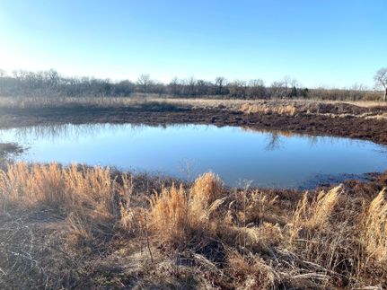 Undeveloped Land in Lamar County, Texas