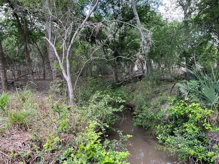 Undeveloped Land in Jim Wells County, Texas