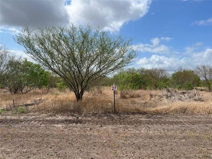 Undeveloped Land in Jim Wells County, Texas