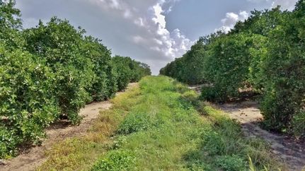 Farm and Ranch in Polk County, Florida