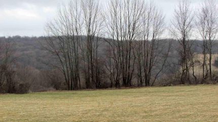 Farm and Ranch in Chenango County, New York