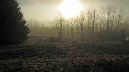 Lakefront Property in Chenango County, New York