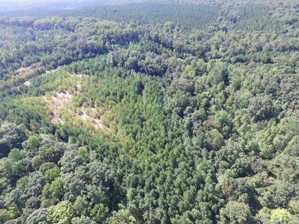 Undeveloped Land in Bartow County, Georgia