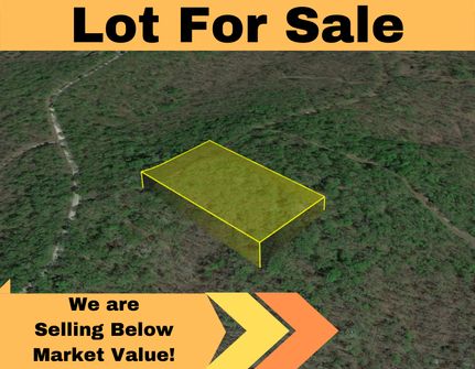 Undeveloped Land in Benton County, Missouri