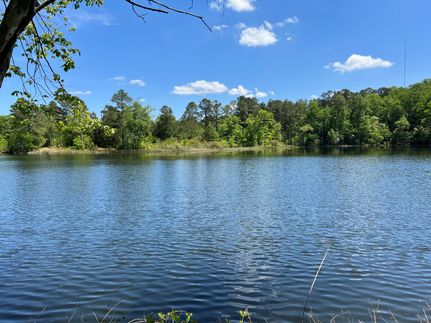 Lakefront Property in Edgefield County, South Carolina