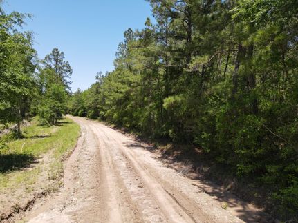 Timberland Property in Trinity County, Texas