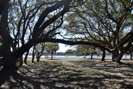 Undeveloped Land in Brunswick County, North Carolina