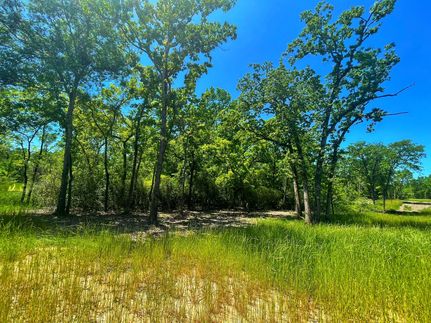 Farm and Ranch in Leon County, Texas