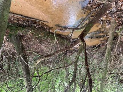 Recreational Property in Covington County, Alabama