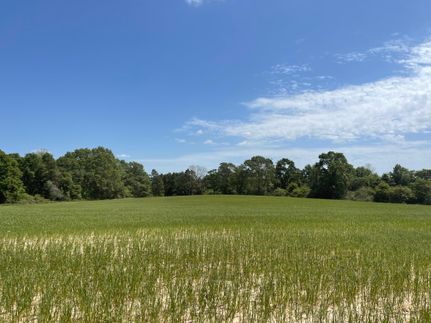Hunting Property in Coffee County, Alabama