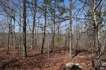 Undeveloped Land in Le Flore County, Oklahoma