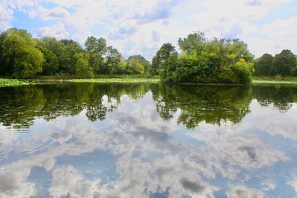 Land in Lawrence County, Missouri
