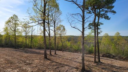 Hunting Property in Searcy County, Arkansas