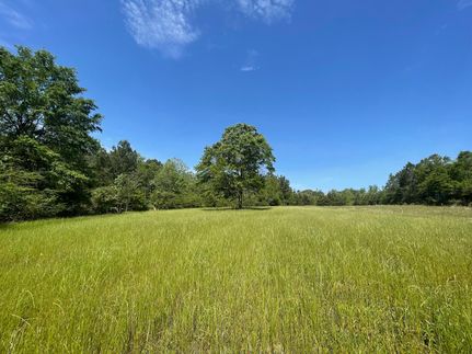 Farm and Ranch in Crenshaw County, Alabama