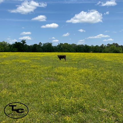 Farm and Ranch in Talladega County, Alabama