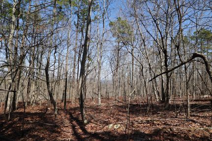 Undeveloped Land in Le Flore County, Oklahoma