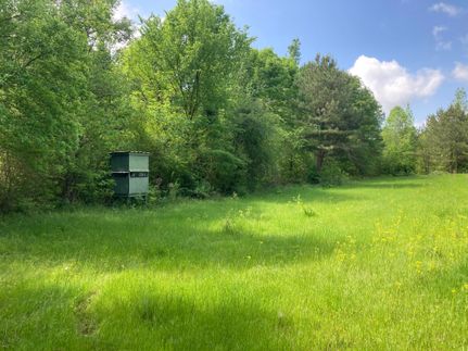 Farm and Ranch in Calhoun County, Alabama