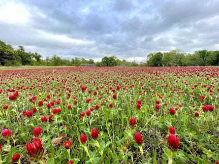 Undeveloped Land in Creek County, Oklahoma
