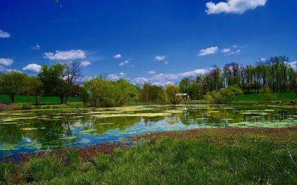 Farm and Ranch in White County, Tennessee