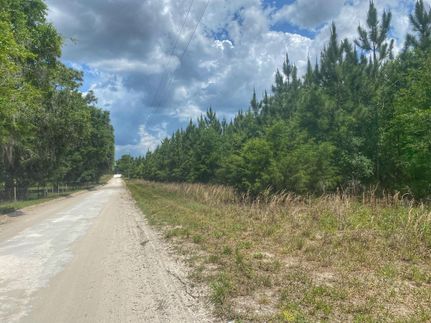Timberland Property in Gilchrist County, Florida