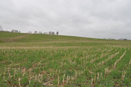 Farm and Ranch in DeKalb County, Missouri