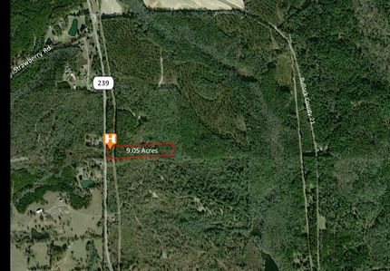 Timberland Property in Bullock County, Alabama