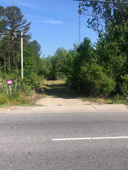 Timberland Property in Lenoir County, North Carolina