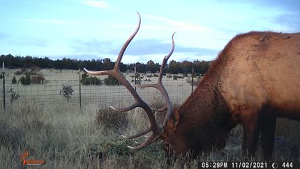 Horse Property in Torrance County, New Mexico